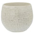 Ecology Linen Cuddle Mug - 330ml Birch Mugs - Cups & Saucers The Cooks Kitchen 