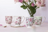Ashdene Raspberry Rose Powder Blue Footed Mug 310ml