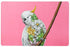 Maxwell & Williams Marini Ferlazzo Wild Planet Cockatoo Chick Placemat Placemats & Coasters The Cooks Kitchen 