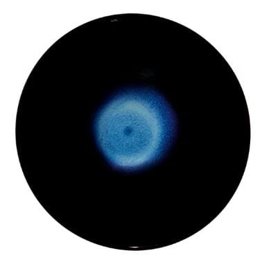 Maxwell & Williams Caviar Midnight - Noodle Bowl 20x10cm Loose Dinnerware The Cooks Kitchen 