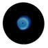 Maxwell & Williams Caviar Midnight - Noodle Bowl 20x10cm Loose Dinnerware The Cooks Kitchen 