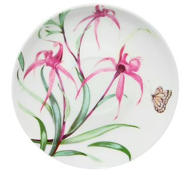 Maxwell & Williams Eloise Short Lyric Cup & Saucer 240ml - Spinebill Honeyeater
