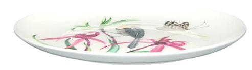 Maxwell & Williams Eloise Short Lyric Coupe Plate 20cm - Spine Bill Honeyeater Loose Dinnerware The Cooks Kitchen 