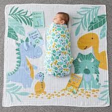 Jiggle & Giggle - Dinosaurs Muslin Blanket & Baby Milestone Photo Cards Children's Giftware The Cooks Kitchen 