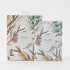 Botanica Scented Mini Sachets Set Of 4 – Ginger Flower Miscellaneous The Cooks Kitchen 