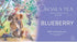 Blueberry Koala Design - 20 Organic Tea Bags Tea Bags/ Loose Leaf Tea The Cooks Kitchen 