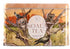 Koala Gift Tin - Desert - 25 Organic Teabags Tea Bags/ Loose Leaf Tea The Cooks Kitchen 