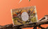 Koala Gift Tin - Desert - 25 Organic Teabags Tea Bags/ Loose Leaf Tea The Cooks Kitchen 