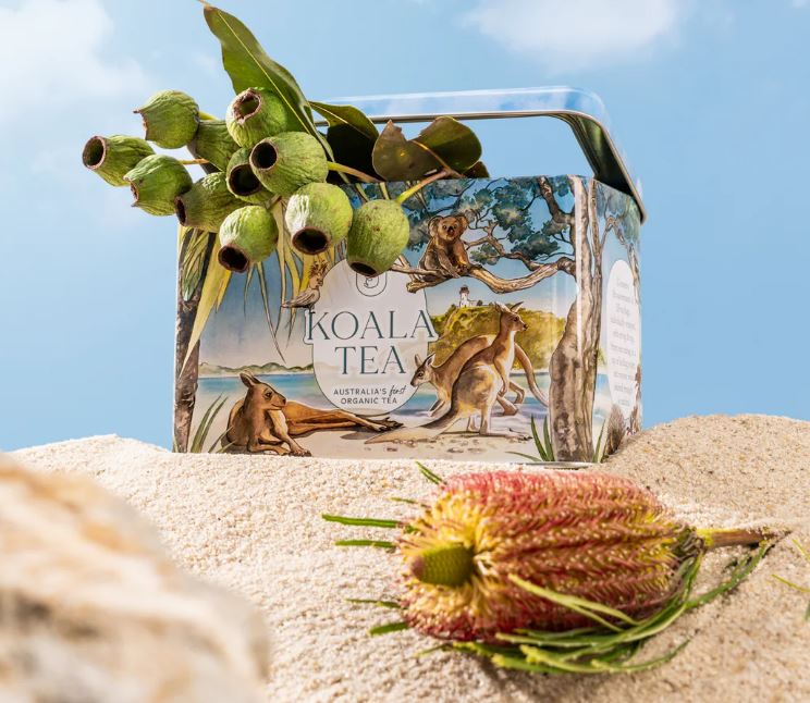 Koala Gift Tin  - Beach - 25 Organic Tea Bags