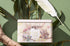 Koala Gift Tin - Forest - 25 Organic Tea Bags Tea Bags/ Loose Leaf Tea The Cooks Kitchen 
