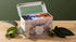 Koala Gift Tin - Forest - 25 Organic Tea Bags Tea Bags/ Loose Leaf Tea The Cooks Kitchen 