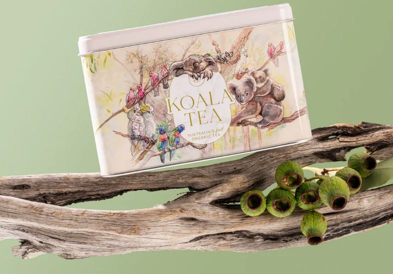 Koala Gift Tin - Forest - 25 Organic Tea Bags