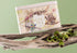 Koala Gift Tin - Forest - 25 Organic Tea Bags