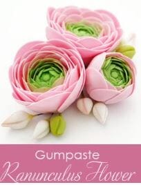 Ranunculus Cutter Set Fondant Cutters The Cooks Kitchen 