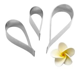 Frangipani Set Of 3 Flower Making The Cooks Kitchen 