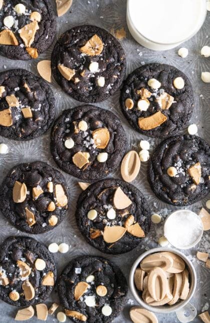 Barry Callebaut Black Cocoa Powder 500g Chocolate The Cooks Kitchen 