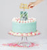 Cake Craft - Surprise Money Cake Kit Acrylic Cake Toppers The Cooks Kitchen 