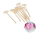 Smash Hammers - 12 Pack Miscellaneous The Cooks Kitchen 