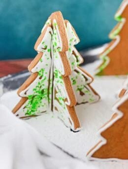 Cake Craft - Christmas Tree Impression Cutter Cookie Cutters The Cooks Kitchen 