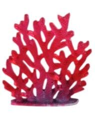 Cake Craft Silicone Mould - Coral Silicone Moulds The Cooks Kitchen 