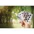 Maverick Waterproof Playing Cards In A Tin Silver 7.1x10x2cm Novelty Gifts The Cooks Kitchen 