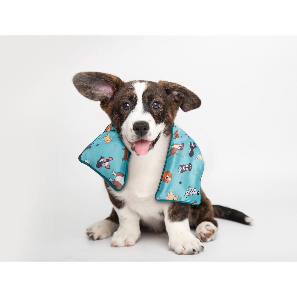 The Dog Collective Heat Pack Misc - Giftware The Cooks Kitchen 