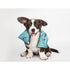 The Dog Collective Heat Pack Misc - Giftware The Cooks Kitchen 