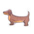 The Dog Collective Xl Cool It Novelty Gifts The Cooks Kitchen 