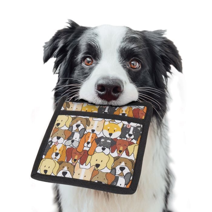 The Dog Collective - Pot Holder Mitts & Gloves The Cooks Kitchen 