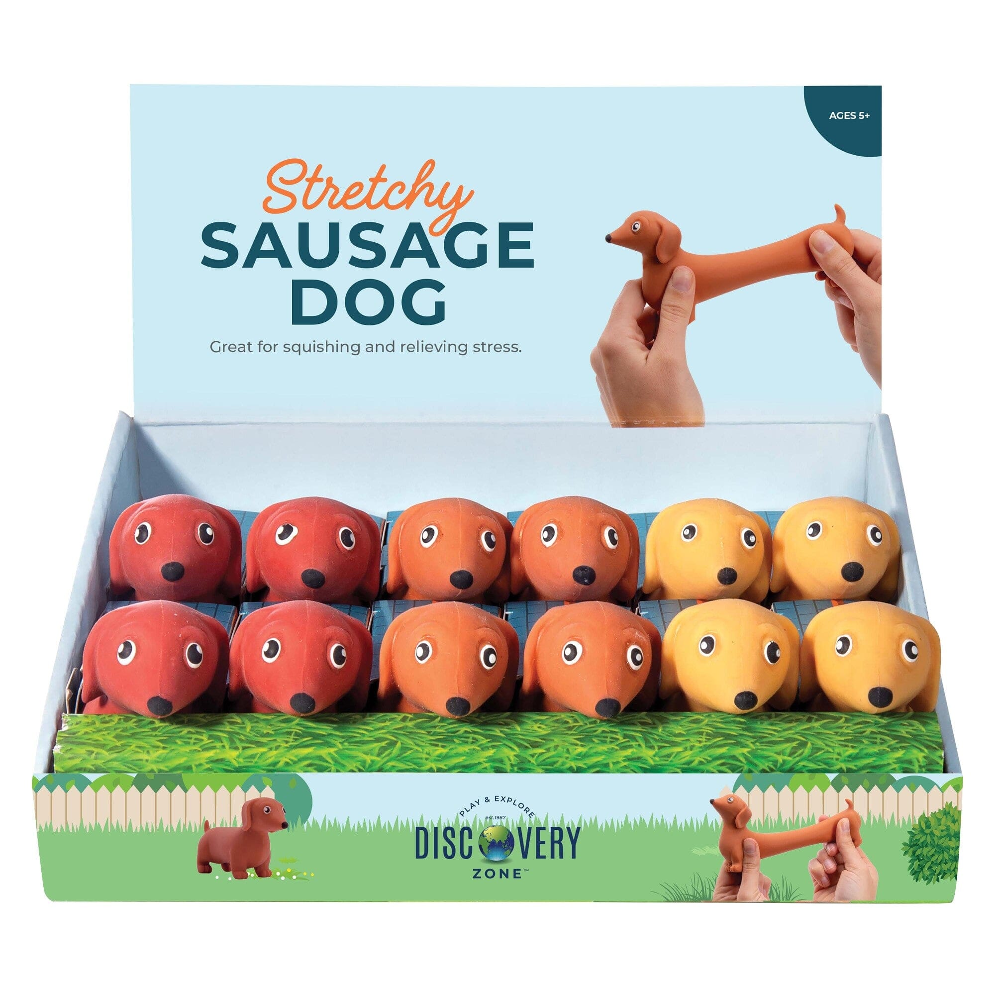 Discovery Zone Stretchy Sausage Dog 3 Assorted 4x11.5x7cm Novelty Gifts The Cooks Kitchen 