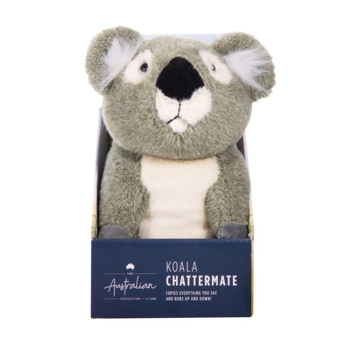 The Australian Collection Chattermate Koala Grey 16cm Tall Novelty Gifts The Cooks Kitchen 