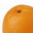 Rg Orange 9x8x8cm Orange Home Decor The Cooks Kitchen Mandurah 