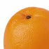 Rg Orange 9x8x8cm Orange Home Decor The Cooks Kitchen Mandurah 