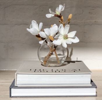 Rogue Mini Magnolia Sphere Vase 16cm White Artificial Plants The Cooks Kitchen 
