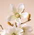 Rogue Mini Magnolia Sphere Vase 16cm White Artificial Plants The Cooks Kitchen 