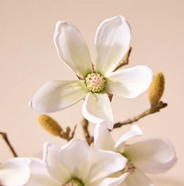 Rogue Mini Magnolia Sphere Vase 16cm White Artificial Plants The Cooks Kitchen 