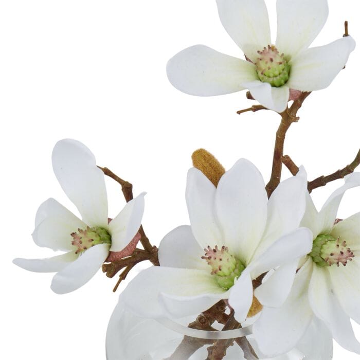 Rogue Mini Magnolia Sphere Vase 16cm White Artificial Plants The Cooks Kitchen 