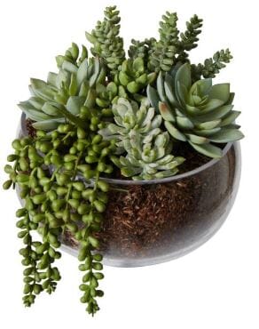 Rogue Succulent Mix - Scarlett Bowl 27cm Artificial Plants The Cooks Kitchen 