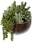 Rogue Succulent Mix - Scarlett Bowl 27cm Artificial Plants The Cooks Kitchen 