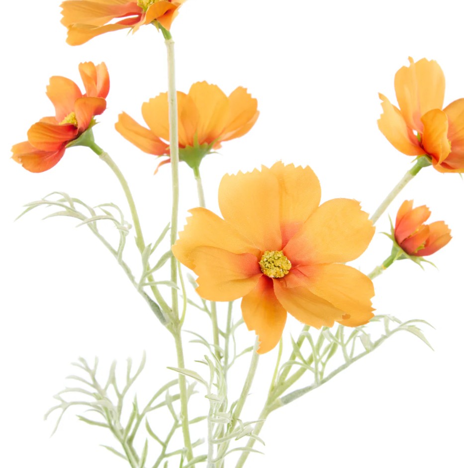 Rogue Cosmos Flower Spray - Orange 62x15x18cm