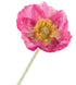 Rogue Poppy Spray Dark Pink 60x8x12cm