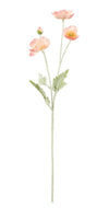 Rogue Poppy Spray - Coral 60x8x12cm