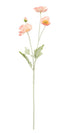 Rogue Poppy Spray  - Coral 60x8x12cm