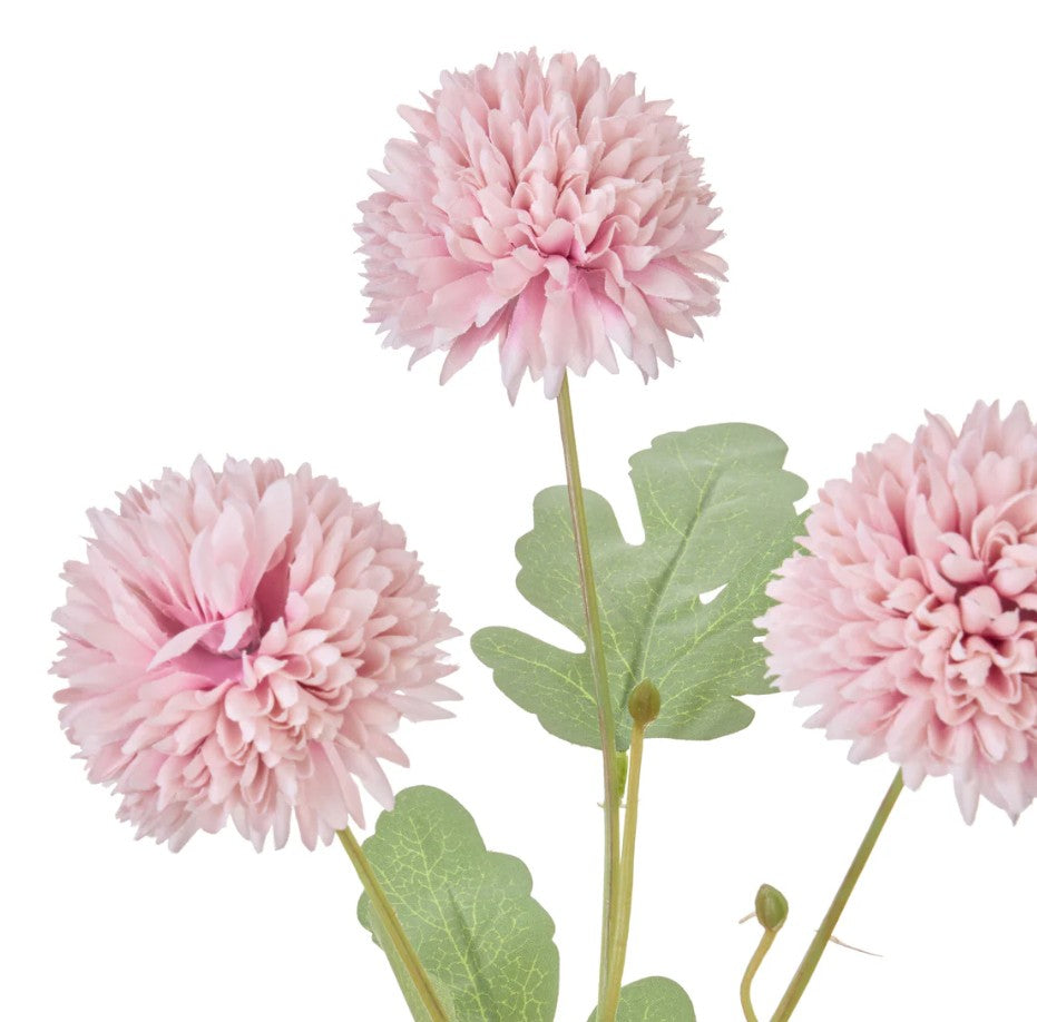 Rogue Kiku In Milk Bottle Pink
