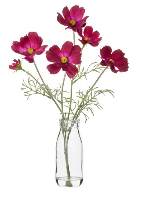 Rogue Cosmos In Milk Bottle Burgundy