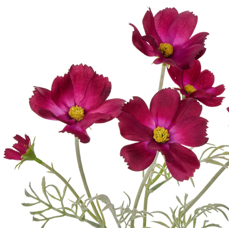 Rogue Cosmos In Milk Bottle Burgundy