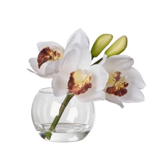 Rogue Cymbidium-glass Vase White Artificial Plants The Cooks Kitchen 