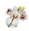 Rogue Cymbidium-glass Vase White