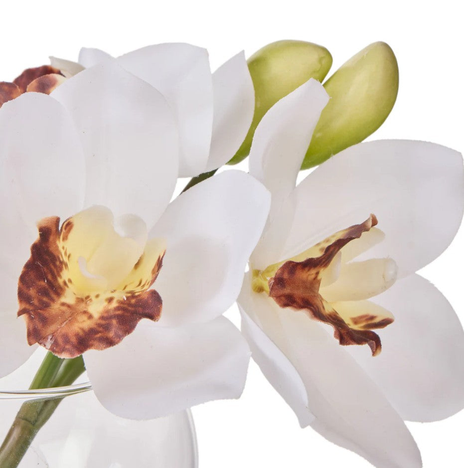 Rogue Cymbidium-glass Vase White
