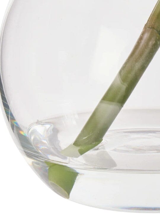 Rogue Cymbidium-glass Vase White Artificial Plants The Cooks Kitchen 